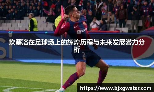 坎塞洛在足球场上的辉煌历程与未来发展潜力分析